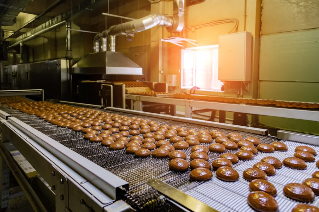 Food processing wire-mesh conveyor belt.