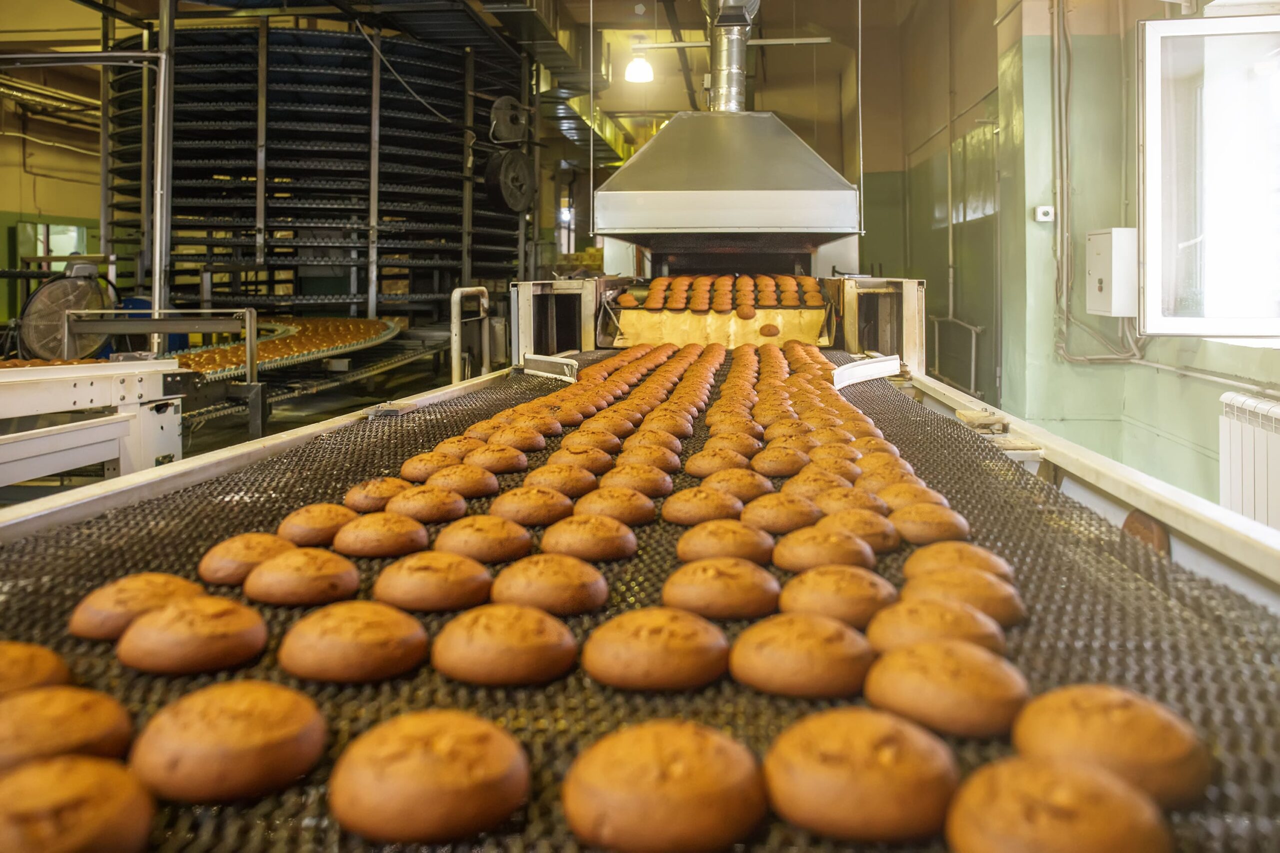 Food conveyor belt moving baked goods through the oven.